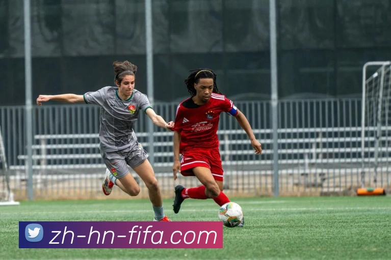 App Interface Preview